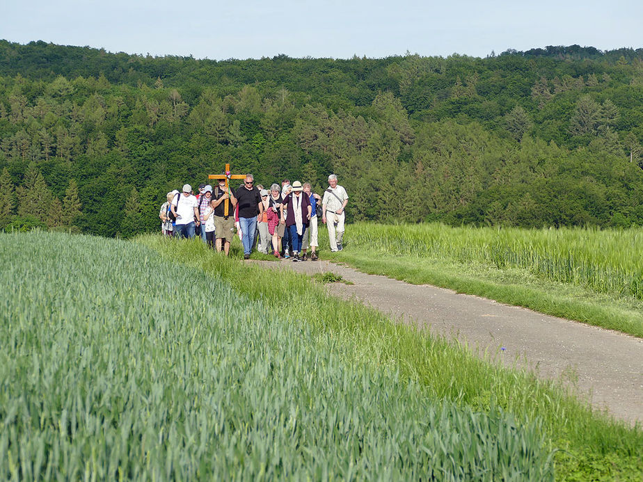 Baunataler Wallfahrt zur Naumburger Fatima Grotte (Foto: Karl-Franz Thiede)